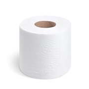 Toilettenpapier WC-Papier 10,5 cm 2-lagig 250 Blatt 8 Stk.